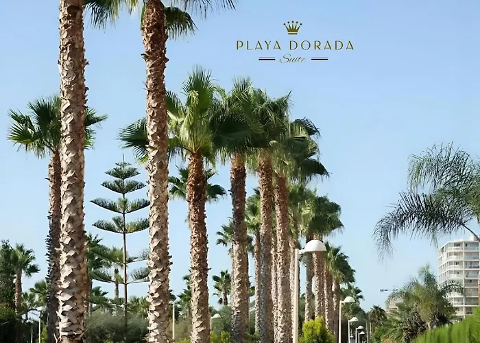 Playa Dorada Apartment *